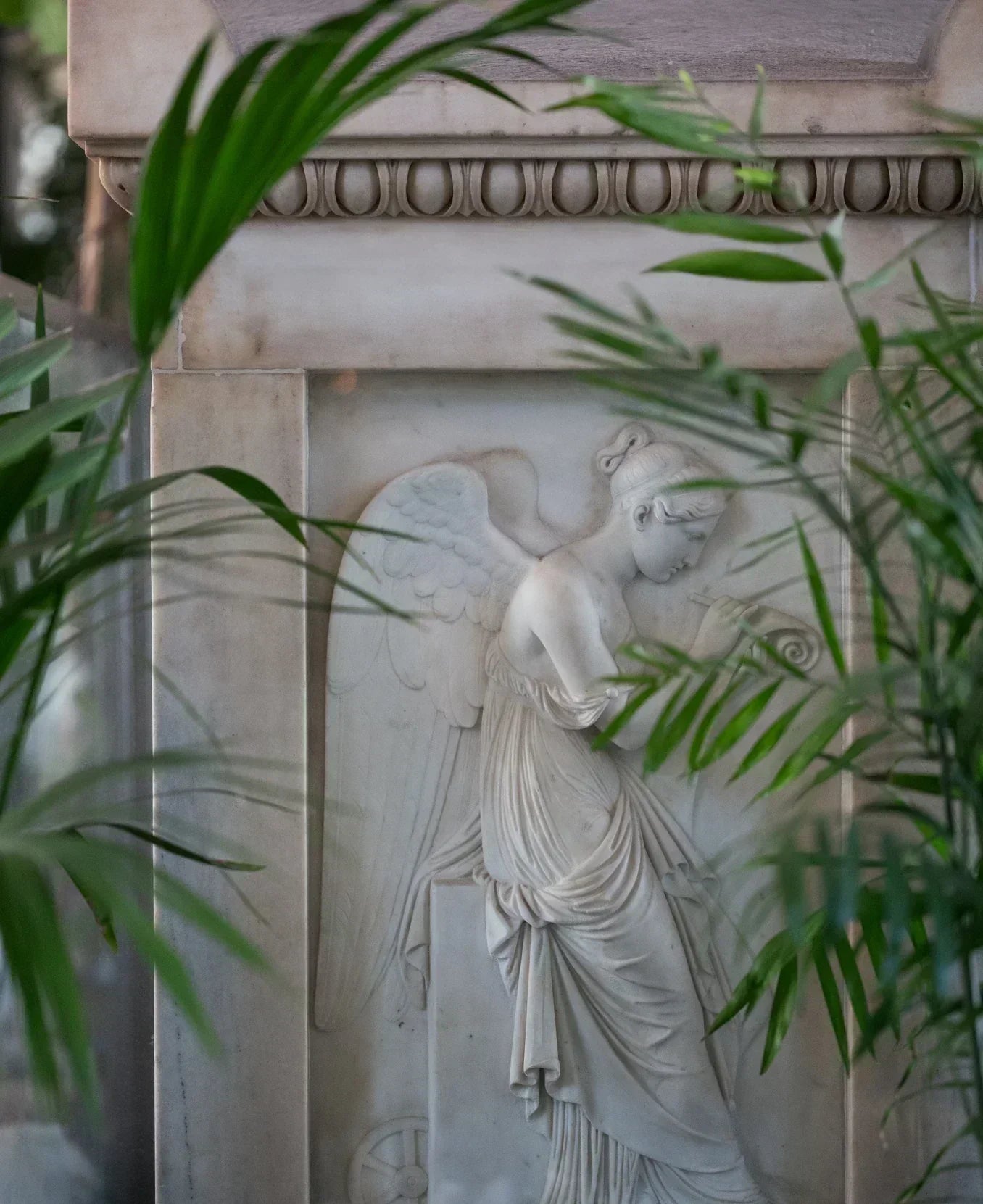 Daily Opera