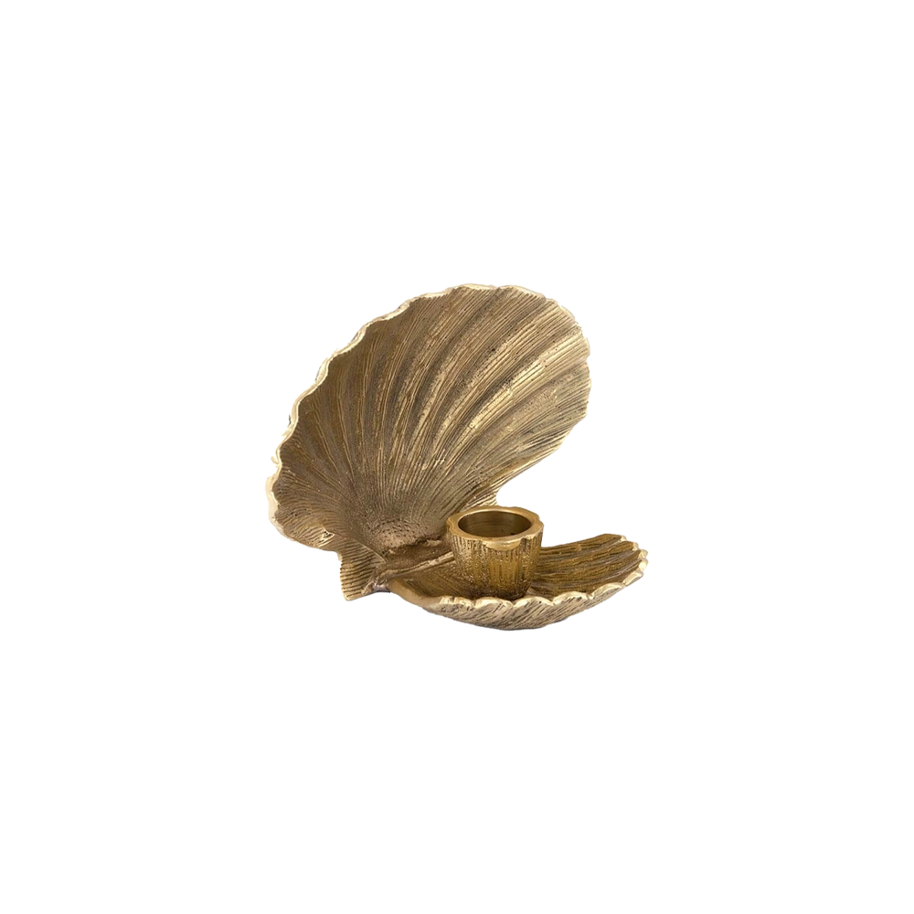 Shell Candelabrum