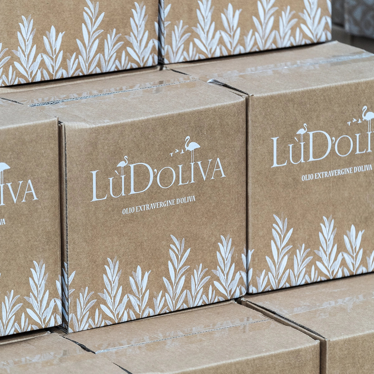 Cassa Lùd'Oliva