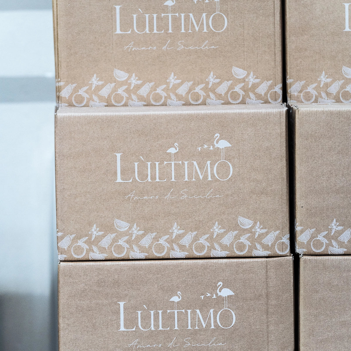Box L'ultimo