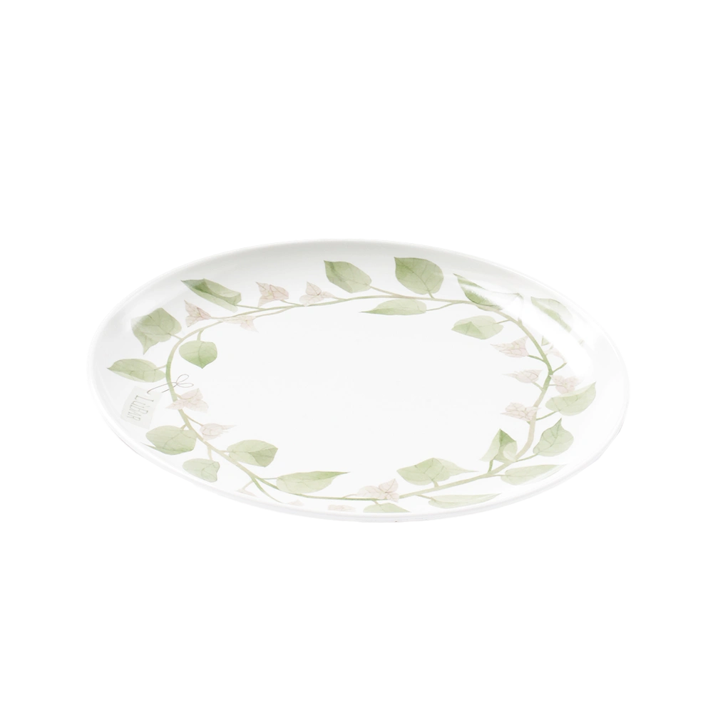 Melamine dinnerware