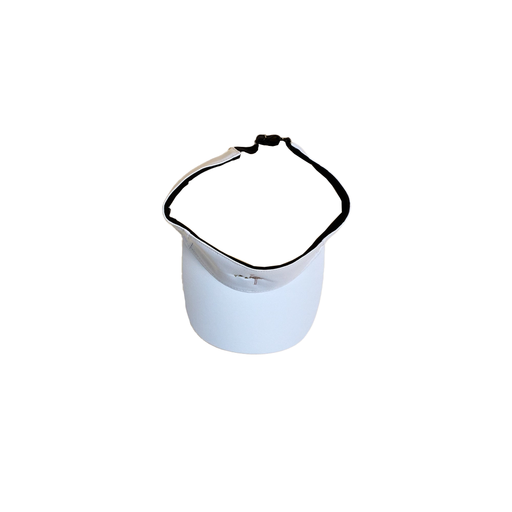 Visor