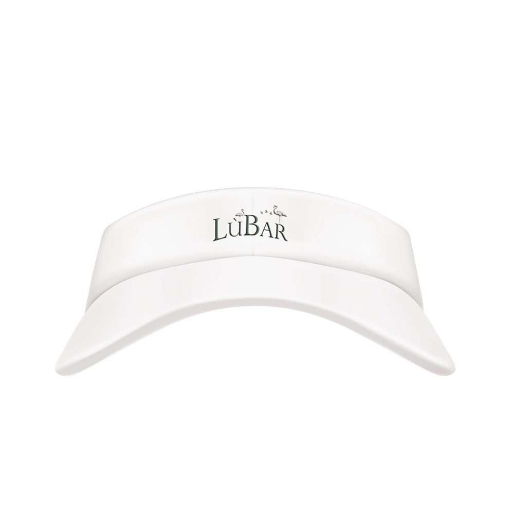 Visor
