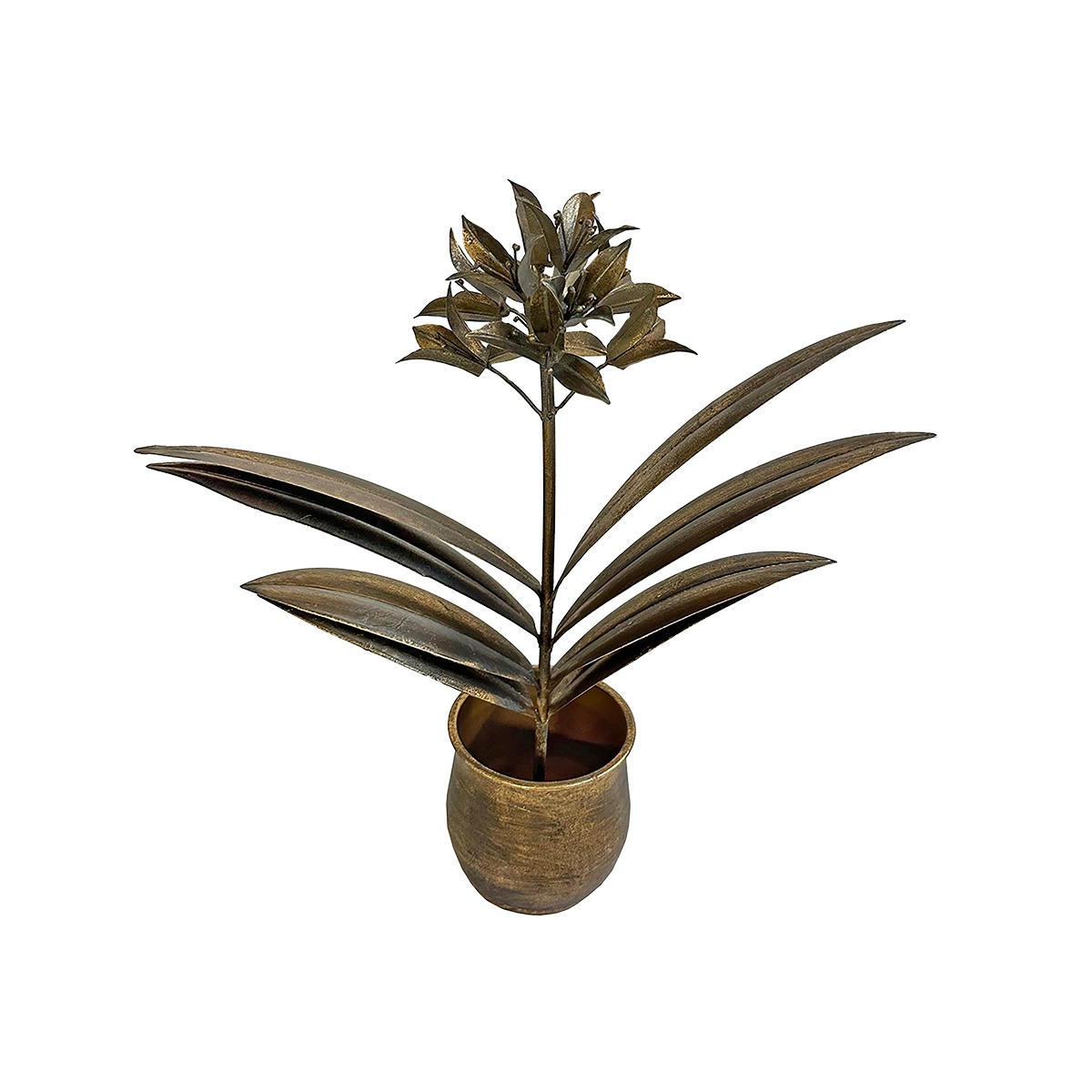 Antique-style flower plant