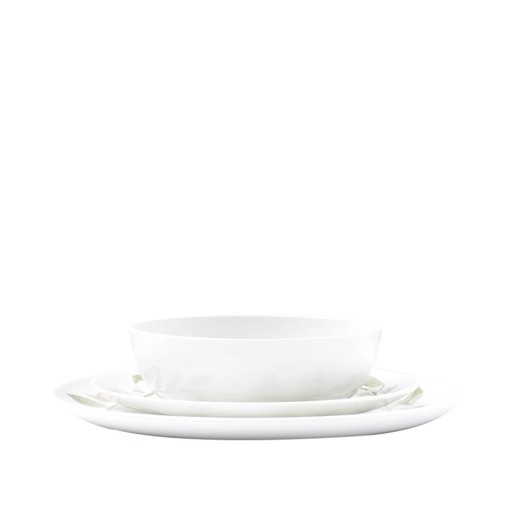 Melamine dinnerware